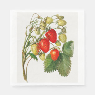 Vintage Red Ripe Strawberry Branch Art Napkin