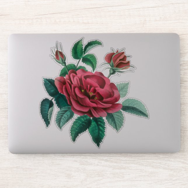 Vintage Red Rose (Computer)