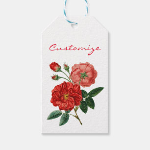 Vintage Red Rose Illustration Thunder_Cove Gift Tags
