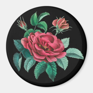 Vintage Red Rose Magnet