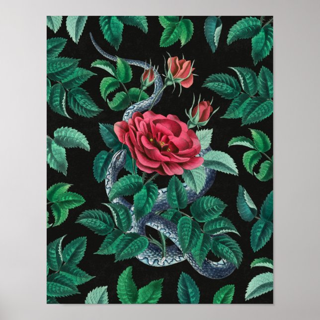 Vintage Red Rose & Snake Poster (Front)