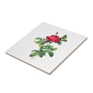 Vintage Red Rose Tile