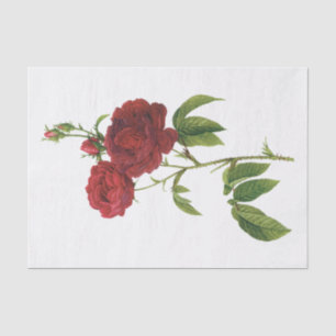 Vintage Red Roses #1 Flowers Floral Tissue Paper