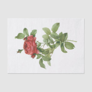 Vintage Red Roses #2 Flowers Floral Tissue Paper