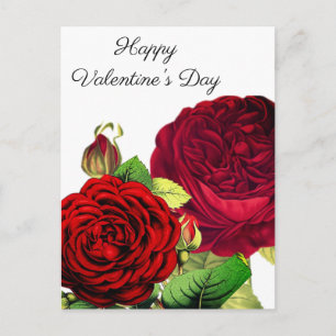 Vintage Red Roses Valentine's Day Holiday Postcard