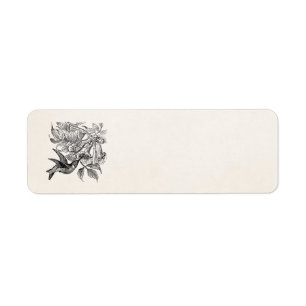 Vintage Red Throated Hummingbird Bird Template
