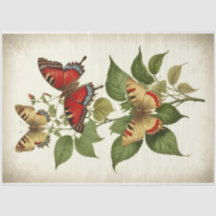Vintage Red Yellow Primitive Butterflies Decoupage