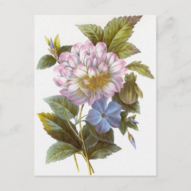 Vintage Redoute Flower Bouquet Postcard (Front)