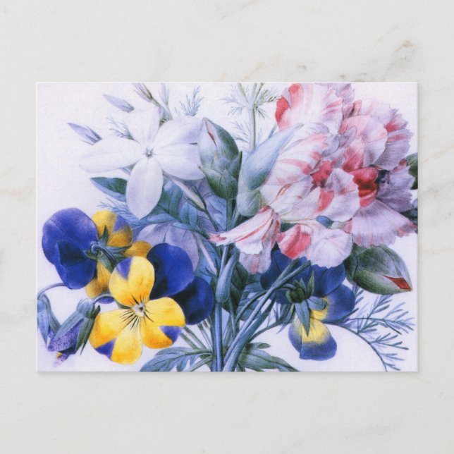 Vintage Redoute Flower Bouquet Postcard (Front)