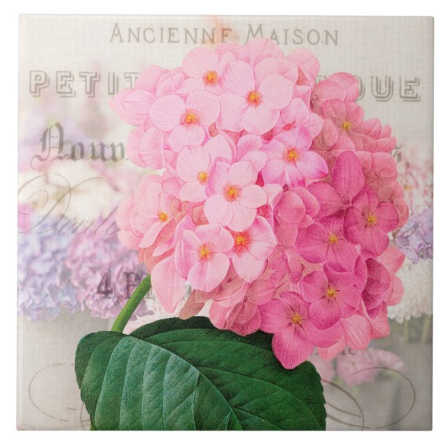 Vintage Redoute Pink Hydrangea Ceramic Tile (Front)