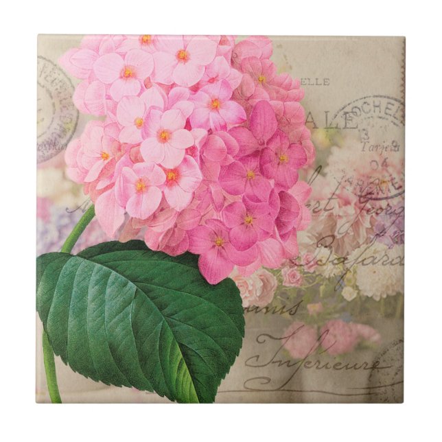 Vintage Redoute Pink Hydrangea Ceramic Tile (Front)