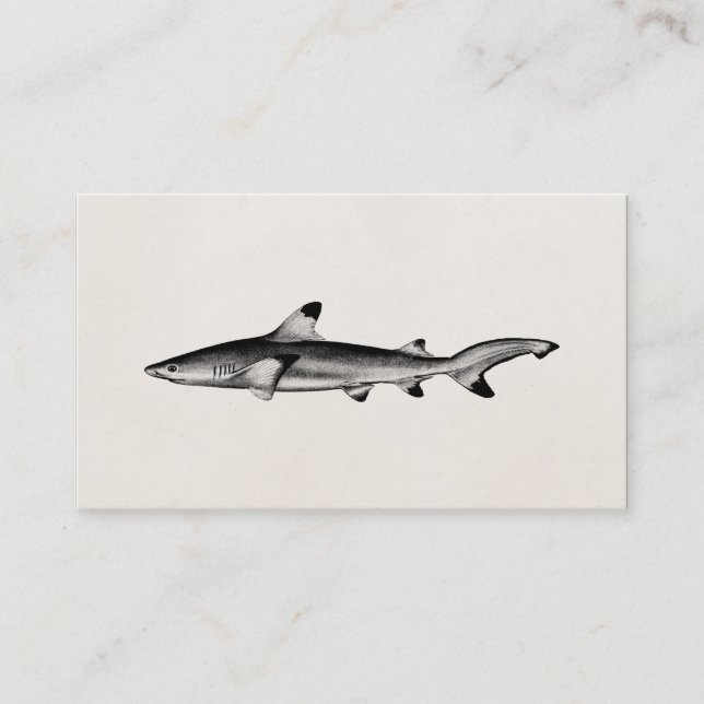 Vintage Reef Shark Illustration - Black Tipped Business Card (Front)
