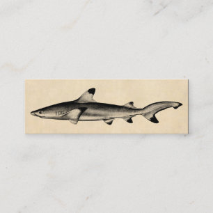 Vintage Reef Shark Illustration - Black Tipped Mini Business Card