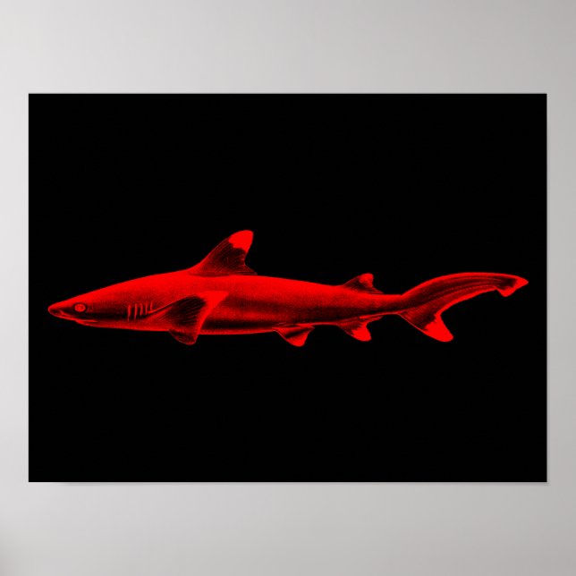 Vintage Reef Shark Illustration Red Black Sharks Poster (Front)