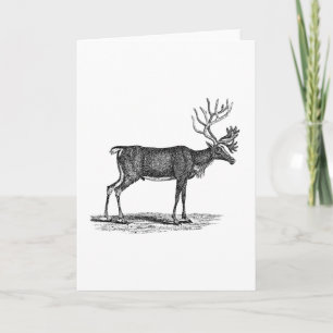 Vintage Reindeer Illustration - 1800's Christmas Holiday Card