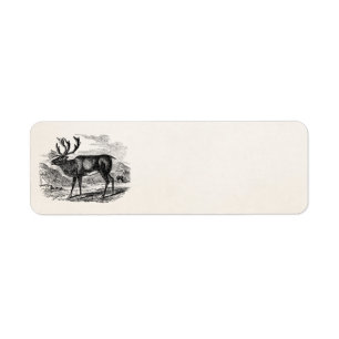 Vintage Reindeer Personalized Deer Illustration