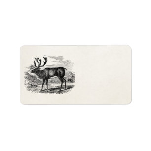 Vintage Reindeer Personalized Deer Illustration Label