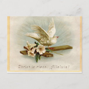 Vintage Religious Easter Dove Postcard