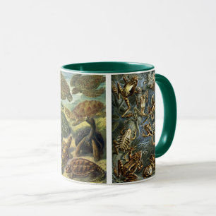 Vintage Reptiles and Amphibians by Ernst Haeckel Mug