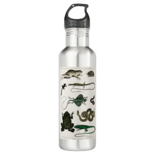 Vintage Reptiles Snake Lizard 710 Ml Water Bottle