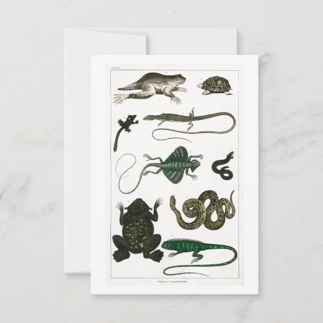 Vintage Reptiles Snake Lizard RSVP Card (Front)