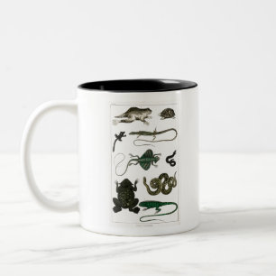 Vintage Reptiles Snake Lizard Two-Tone Coffee Mug