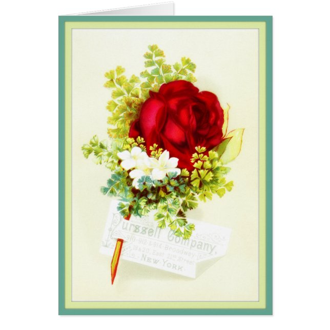 Vintage Restoration Rose Advertisement Card (Front)
