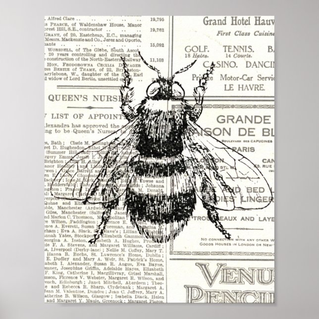Vintage Retro Bee Newsprint Black and White Poster (Front)