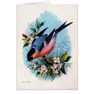 Vintage Retro Bird on Branch Card
