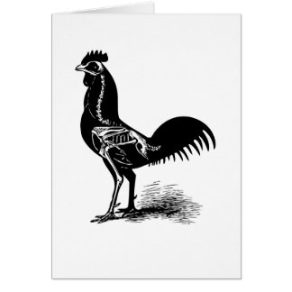 Vintage Retro Chicken Anatomy Sketch Card