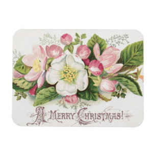 Vintage Retro Christmas Card, Apple Blossoms Magnet
