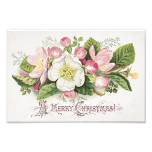 Vintage Retro Christmas Card, Apple Blossoms Photo Print
