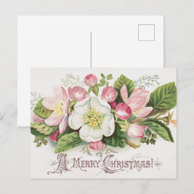 Vintage Retro Christmas Card, Apple Blossoms Postcard (Front/Back)