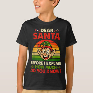 Vintage Retro I Can Explain Xmas Colorful Elf Funn T-Shirt