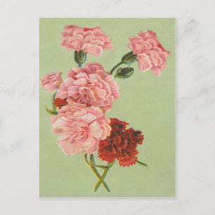 Vintage Retro Roses Postcard
