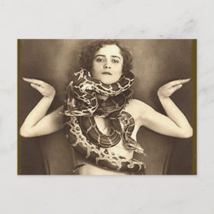 Vintage Retro Women Sideshow Snake Charmer Postcard