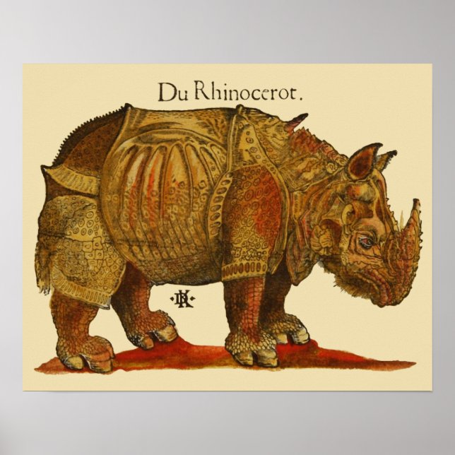Vintage Rhino Durer's Rhinoceros Antique Poster (Front)