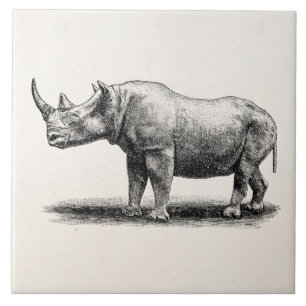 Vintage Rhinoceros Illustration Rhino Rhinos Tile