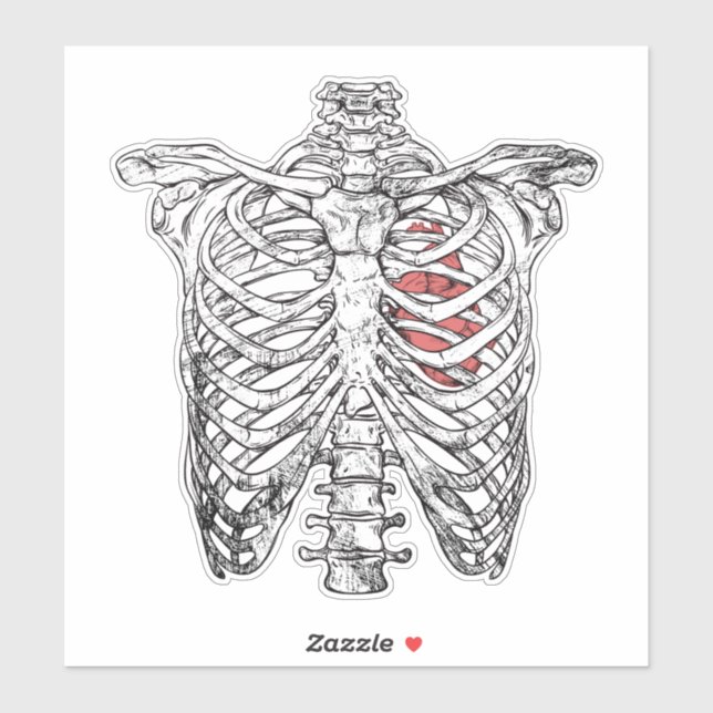 Vintage Ribcage & Heart Anatomy Halloween (Sheet)