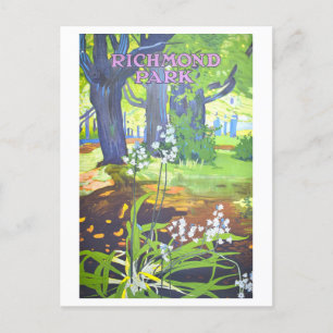 Vintage Richmond Park England Travel Poster Postcard
