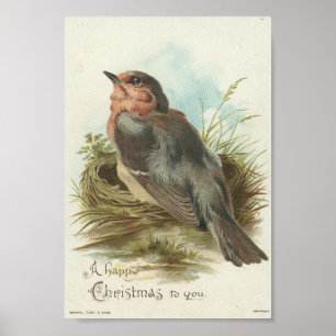 Vintage Robin, Christmas Poster