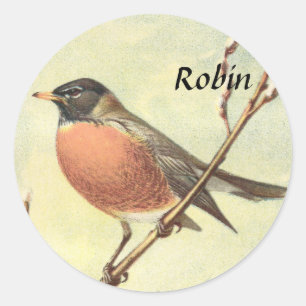 Vintage Robin Stickers