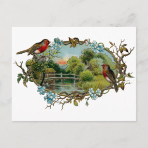 Vintage Robins and Forget-Me-Nots Postcard