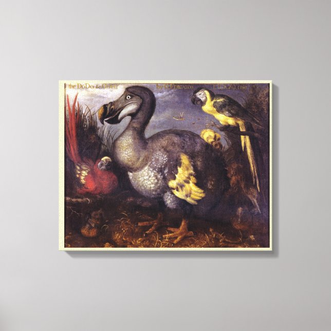 Vintage Roelant Savery Saverys Dodo Canvas Print (Front)