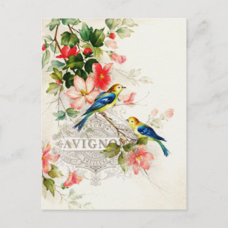 Vintage Romantic French Birds Stationary Postcard