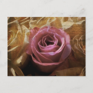 Vintage Romantic One of a Kind Love, A Single Rose Postcard