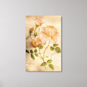 Vintage Romantic Shabby Chic Pink Peonies Canvas Print