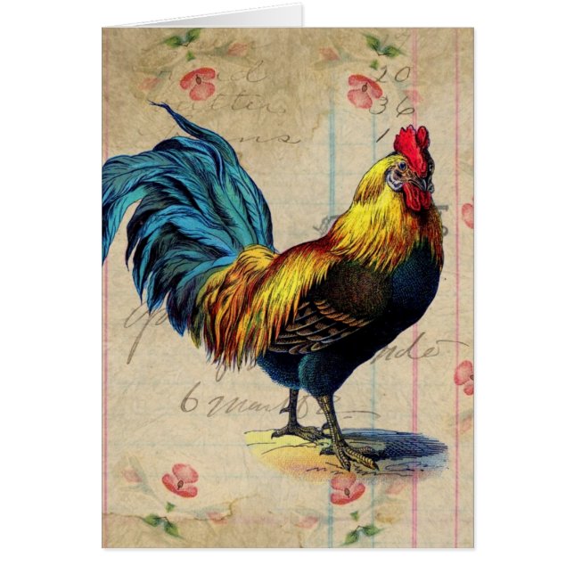 Vintage Rooster (Front)