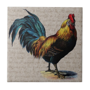 Vintage Rooster and Antique Text Collage - Custom Tile