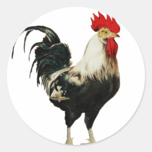 Vintage Rooster Chicken Customize Animal best Classic Round Sticker
